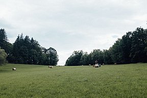 Den 12 TH 2018