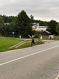 Den 12