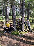 Den 7.