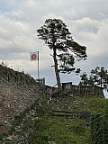 Den 11